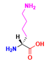 <p>Is this an L or D amino acid?</p>