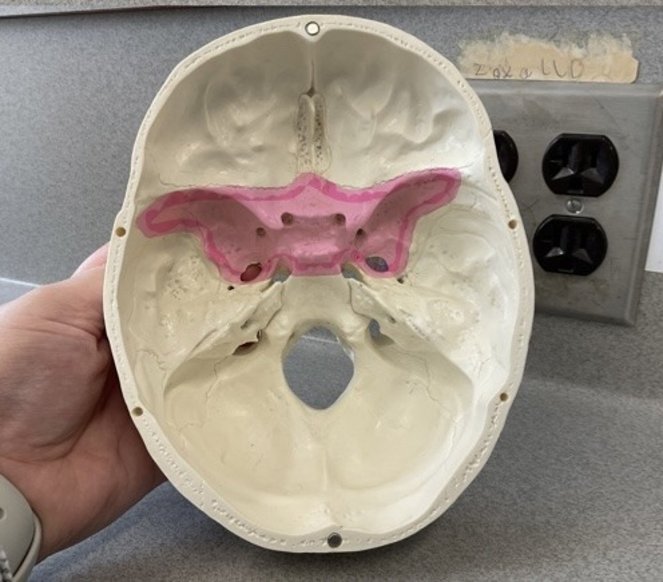 knowt flashcard image