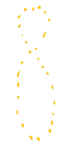 <p>Movement of the Sun over the course of a year.</p>