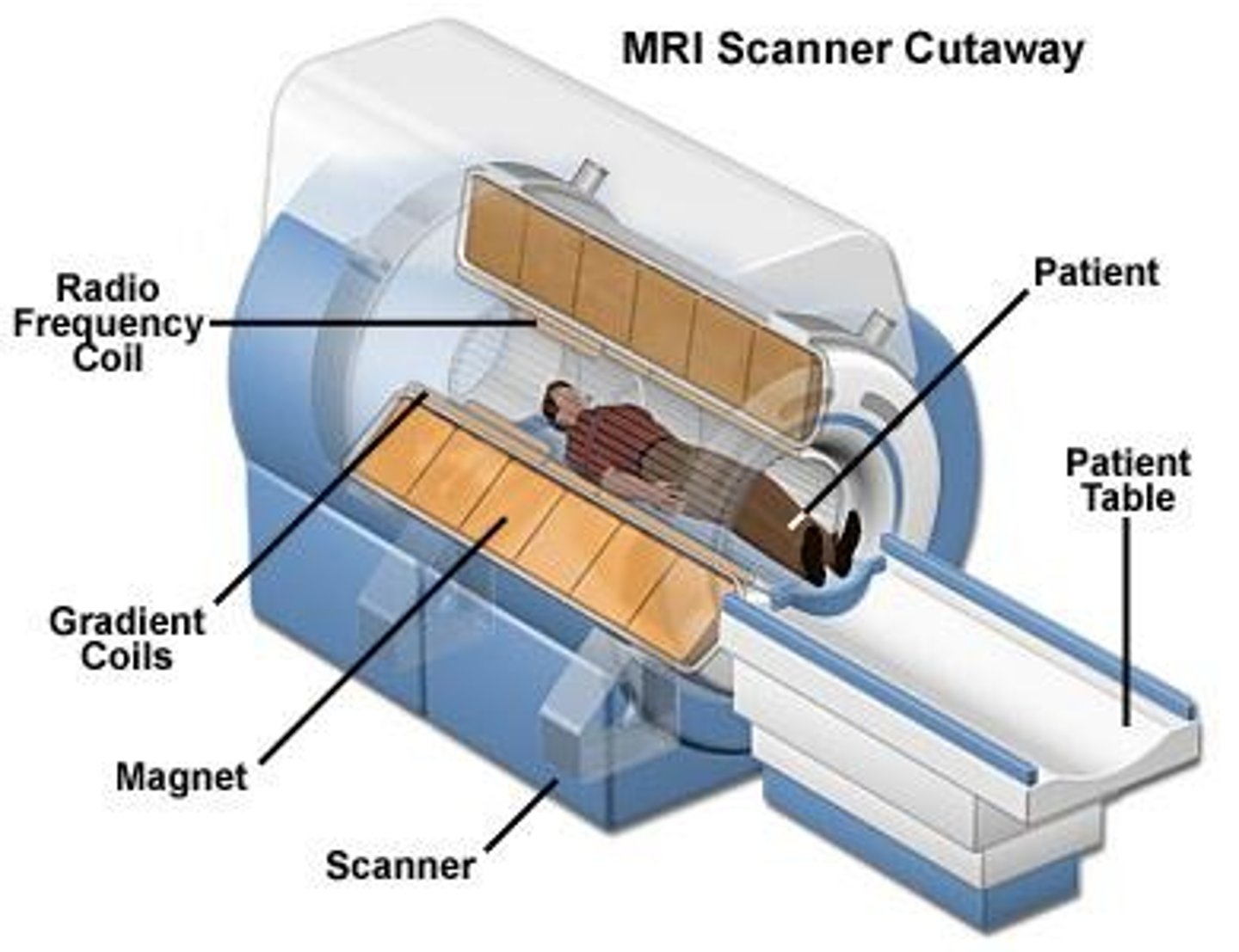 <p>To form images of body structures using radio frequency signals from hydrogen protons.</p>