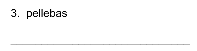 <p>I. Give tense, person, and number and translate into English. ( 5 pts.)</p>