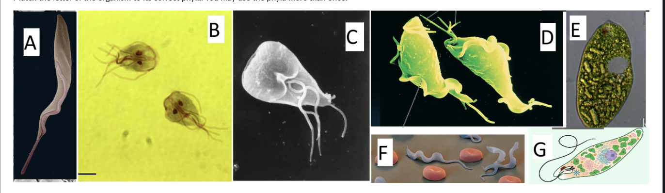 <p>What is being pictured as D?</p>