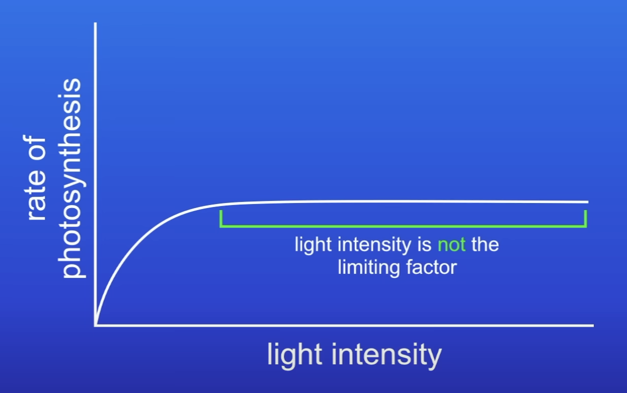 <p>What does this graph show about LI as a limiting factor?</p>