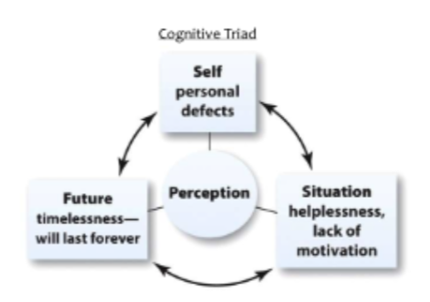 <p>rumination and pessimistic attributions</p><p>their way of thinking causes risk factors that maintain and sustain this&nbsp;way of thinking</p><p>they feel helpless in a situation with lack of motivation + future timelessness will last forever</p><p>causes self personal defects(negative perosnlaity traits or behaviors that hinder perosnal growth, relationships, and goals</p><p></p><p>ppl witht his are more liekly to ruminate</p><p>AND: pessimisitc attrivutions: ppl with depression tend to think that bad things hapen bc of who they are, internal attributions for negative events and external attributions for positive events&nbsp;</p>