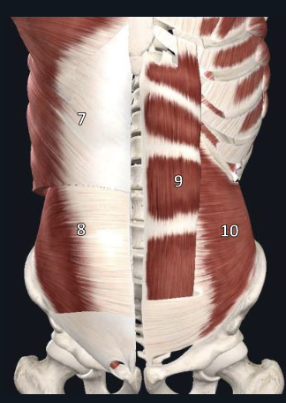 <p>name structure #9</p>