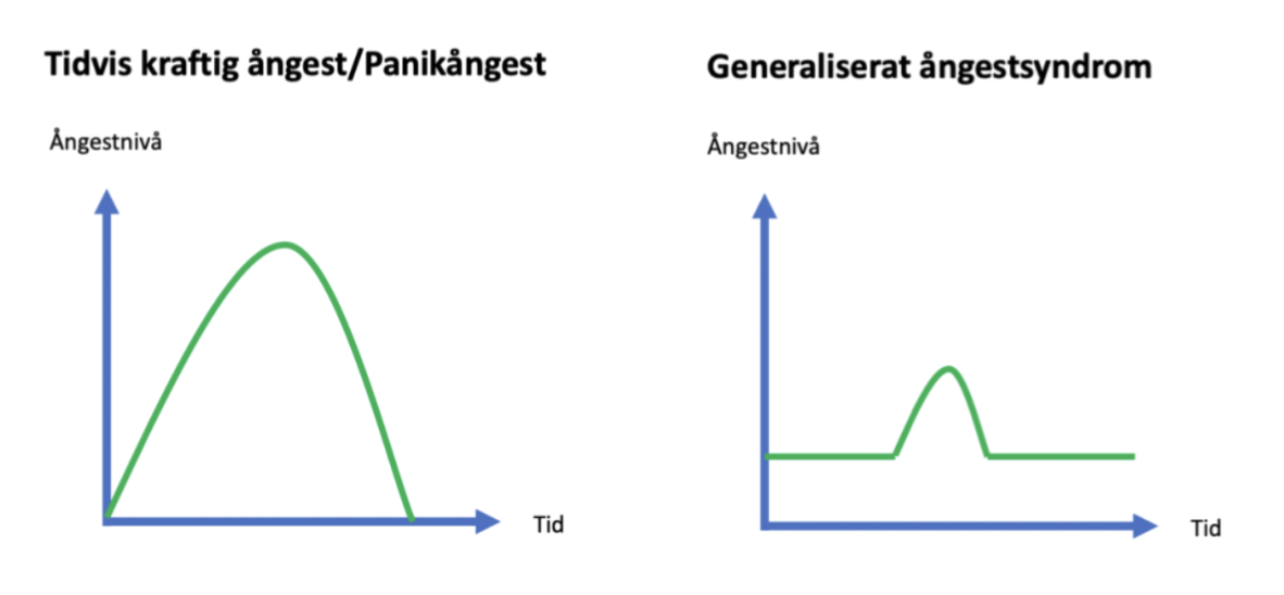 <p>Kardinalsymtom för GAD är en <strong>överdriven rädsla/oro för det mesta (förväntansångest) </strong>under minst 6 månader. Symtom är följande (URK SIM):</p><ul><li><p>Uttröttbarhet</p></li><li><p>Rastlöshet</p></li><li><p>Koncentrationssvårigheter</p></li><li><p>Sömnstörningar</p></li><li><p>Irritation</p></li><li><p>Muskelspänning</p></li></ul><p></p>