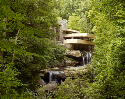 <p>Organic architecture</p>