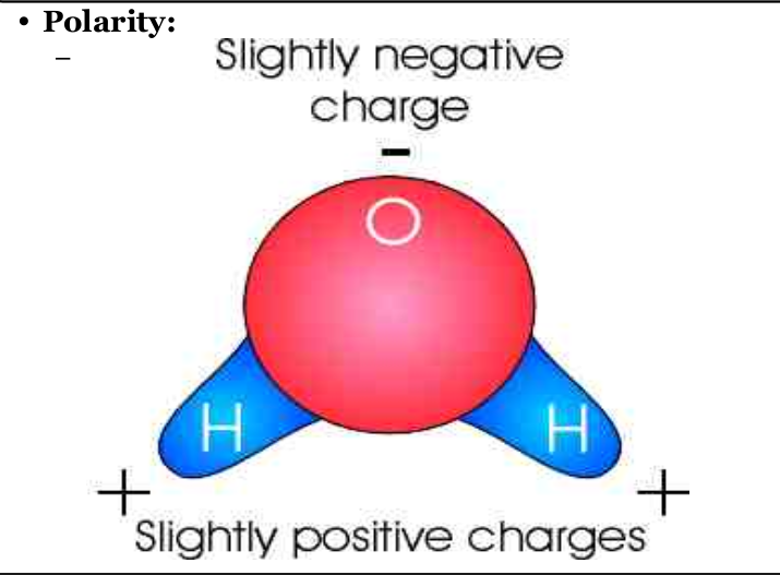 <p>Polarity:</p><p>The attraction of water molecules. One end of the molecule is positive, and otherend is negative.</p><p>Polarity Results in Hydrogen Bonding</p>