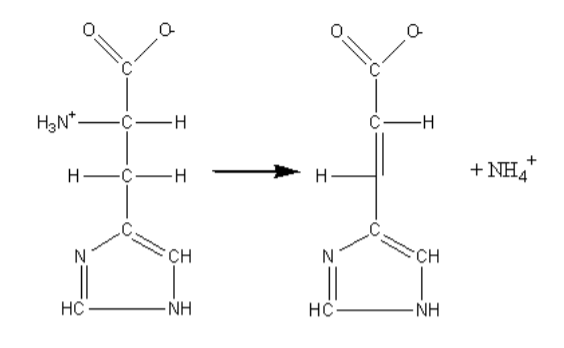 <p>classify this enzyme</p>