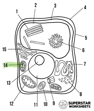 <p>What is the highlighted area called</p>