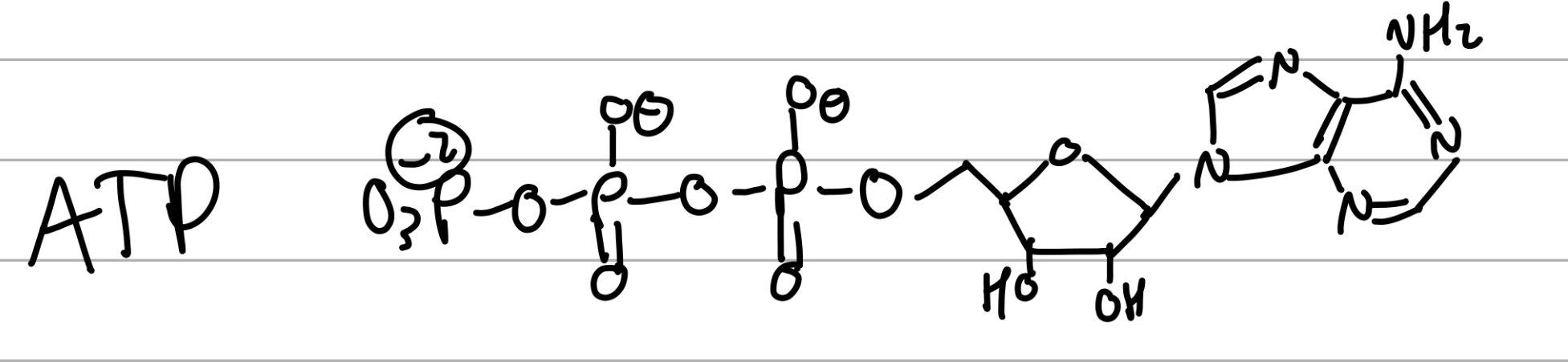 <p>last PO3 is removed into ADP</p>
