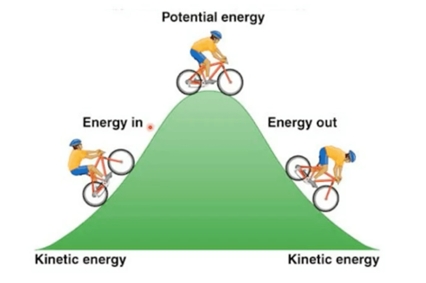 <p>Potential energy is a form of energy that an object possesses due to its position or condition. It is energy that is stored within an object and has the potential to be converted into other forms of energy and perform work under the influence of forces or other factors.</p>