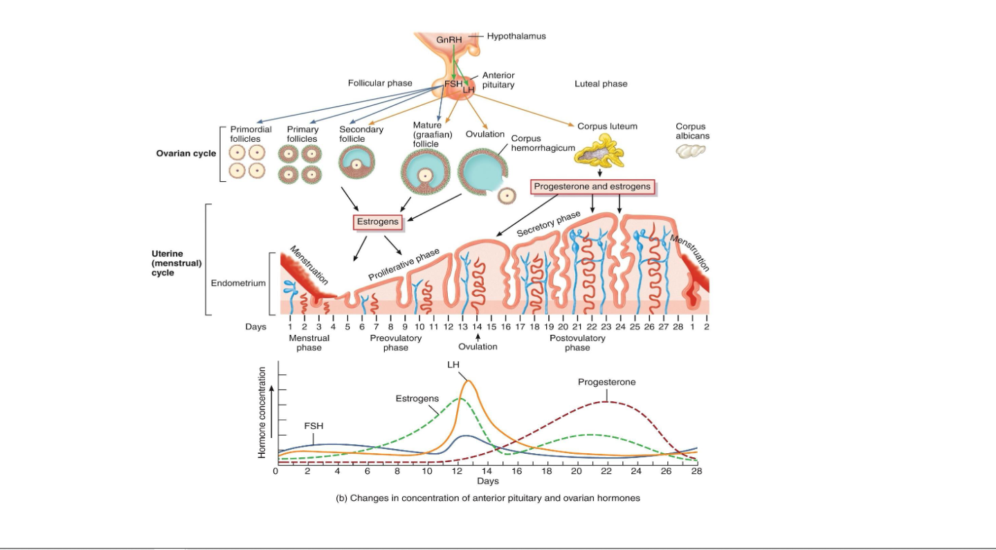 <p><span><span>The Integration Diagram</span></span></p>