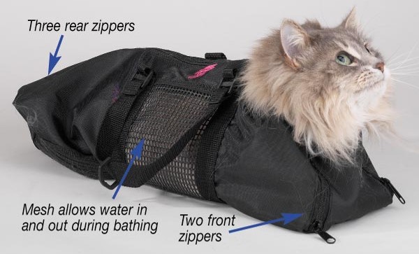 <p>Cat bag</p>
