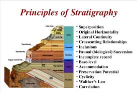 <p>They are most often found in horizontal deposits (stratifications): layers or strata</p>