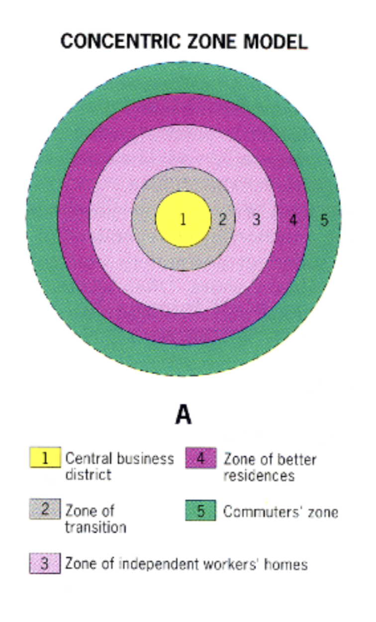 <p>E.W. burgess (1923)</p><p><span style="color: rgb(0, 0, 0)">a spatial model of the american city that suggests the existence of five concentric rings around a CBD</span></p>