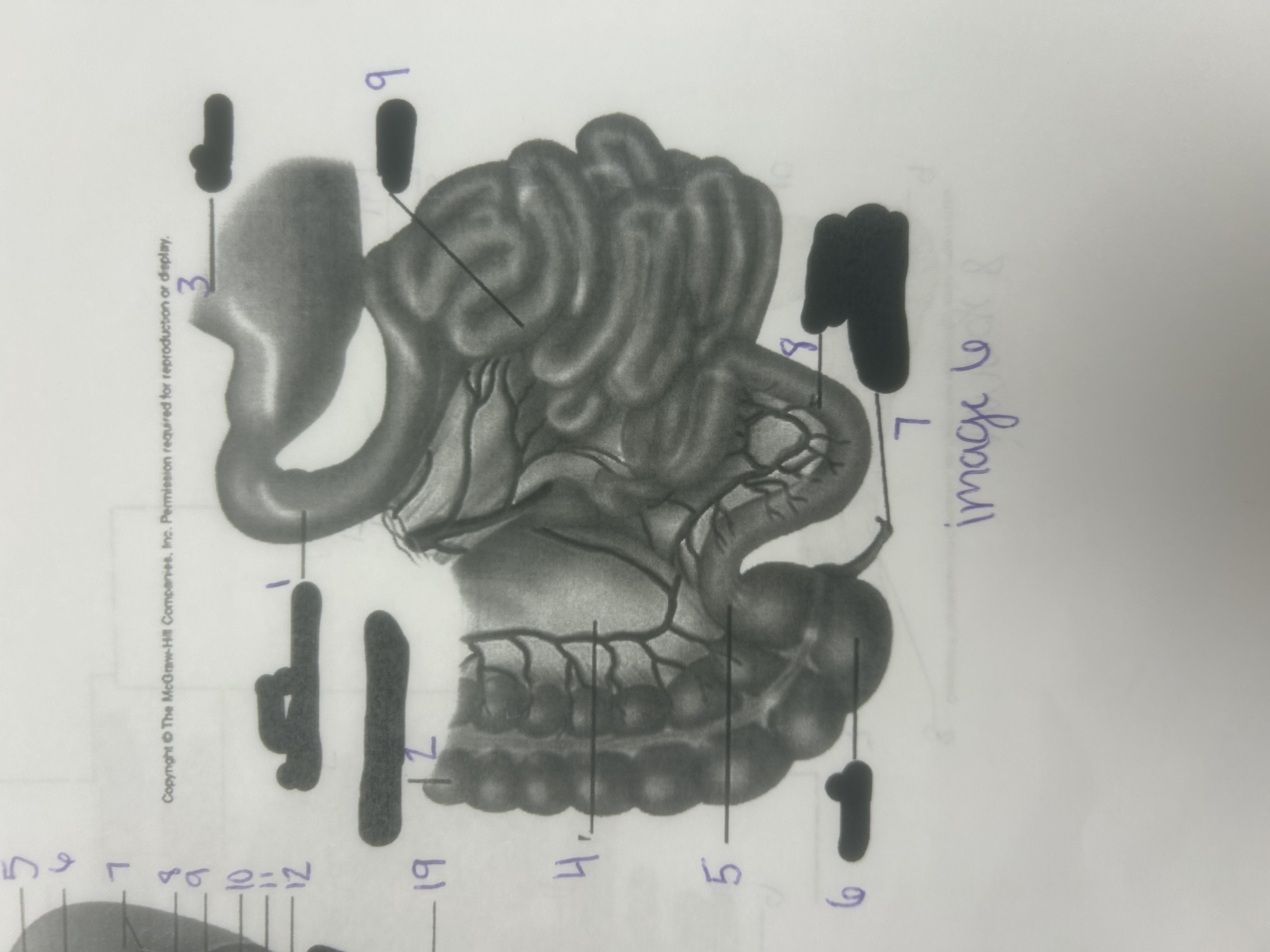 <p>2</p>
