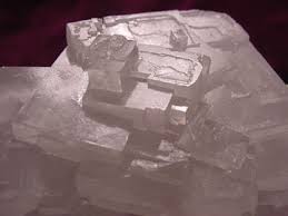 <p>halide- halides</p>