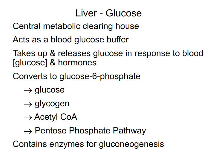 <p>Liver - Glucose</p>