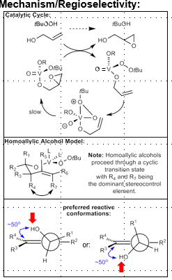 <p>50 degree angle between alcohol and alkene, determines which face is most favorable (minimize A1,3 interactions). Top face or bottom face favored</p>