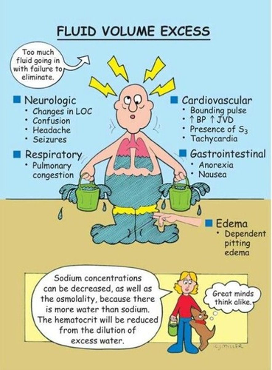 <p>HTN, edema, crackles, elevated CVP</p>