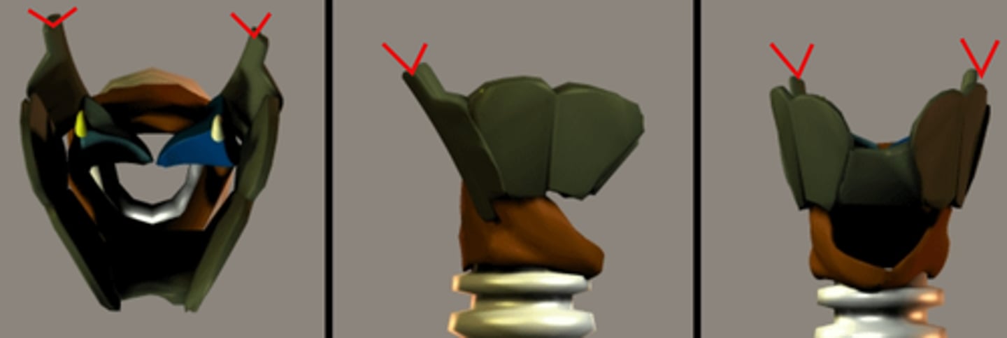 <p>holds up the hyoid bone</p>