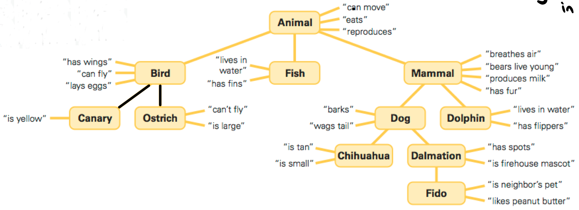 <p>we have a bank of knowledge that holds the names and definitions/knowledge of words (mental lexicon)</p>