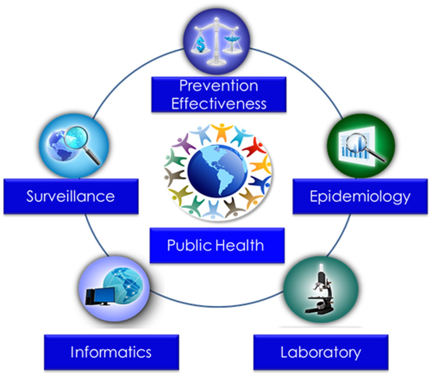 <p>observation, recognition, and reporting of diseases as they occur at every level.</p>