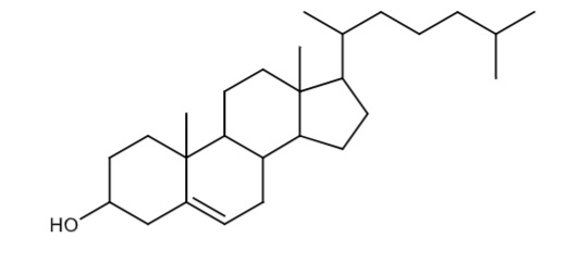<p></p>
