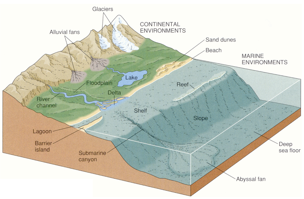 <ol><li><p>Alluvial fans</p></li><li><p>River channels</p></li><li><p>Floodplains </p></li><li><p>Lakes </p></li><li><p>Dunes</p></li><li><p>Delta</p></li><li><p>Beaches </p></li><li><p>Lagoons </p></li><li><p>Shelves </p></li><li><p>Reefs</p></li></ol>