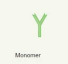 <p>monomer</p>