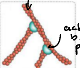 <p>There are three main types of polymers: Microfilaments, Microtubules, and Intermediate Filaments. What are microfilaments motor proteins?</p>