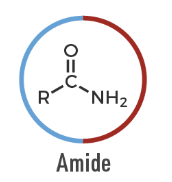 <p>A carbonyl compound bonded to nitrogen: R–CONR'R''.</p>