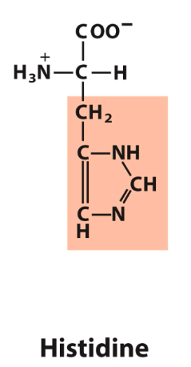 <p>What is the classification of this amino acid's R group?</p>