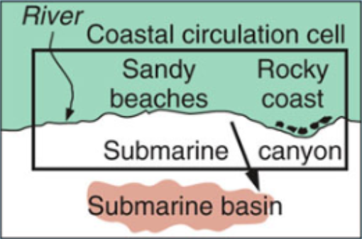 <p>A relatively self-contained compartment within which sediments circulate</p>