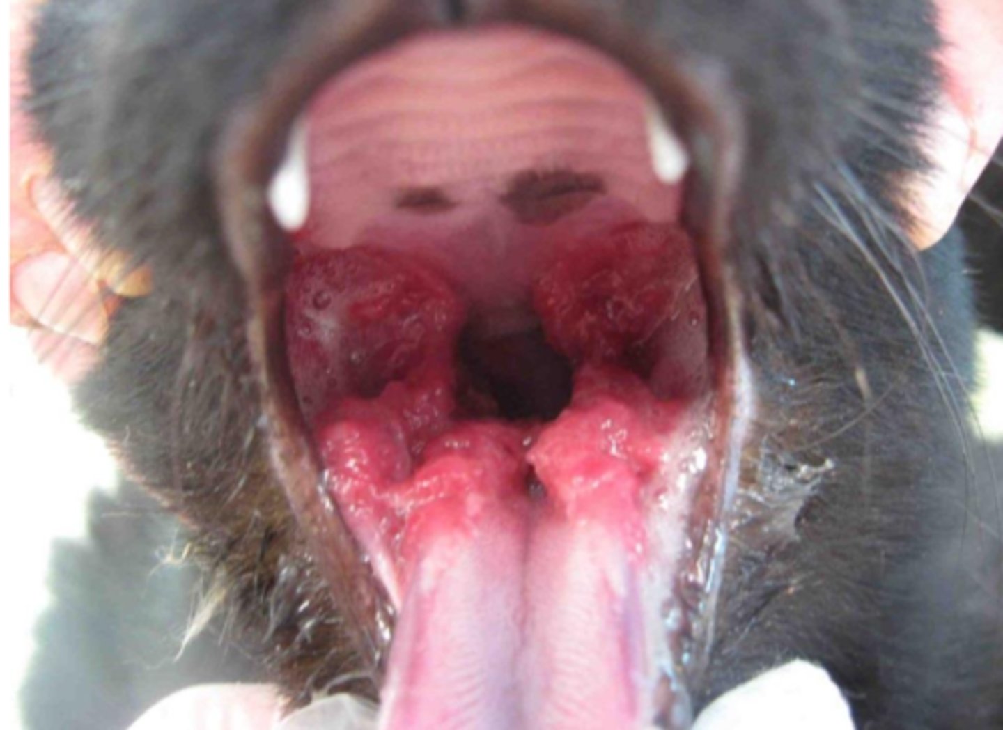 <p>what is the appropriate sample for this?</p>