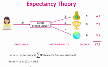 <p><u>valence</u> ~ idea of how valuable the outcomes of a good performance are (scale 1-10)</p><p></p><p><u>instrumentality</u> ~ the probability with which people expect their performance to have the outcomes (scale 0-1)</p><p></p><p><u>expectancy</u> ~ are people able to perform to the level required (probability of reaching that; scale 0-1)</p><p></p><p>force = expectancy * the sum of (all valence times all instrumentality)</p><p></p><p>→ ppl can choose to perform well or just good enough</p>