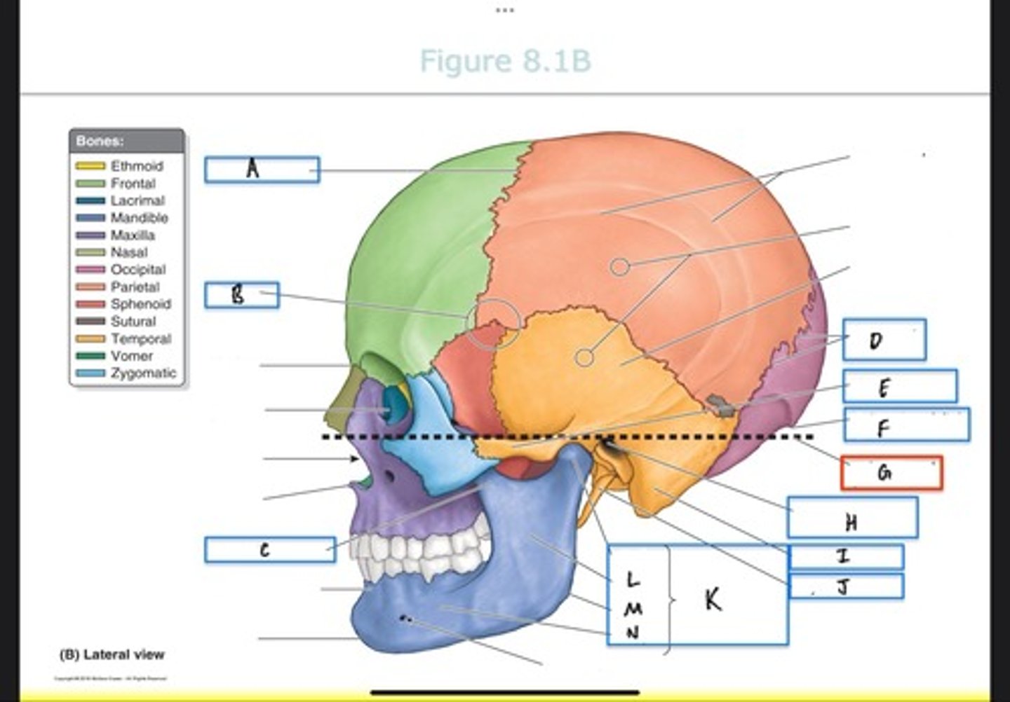 <p>What is L?</p>