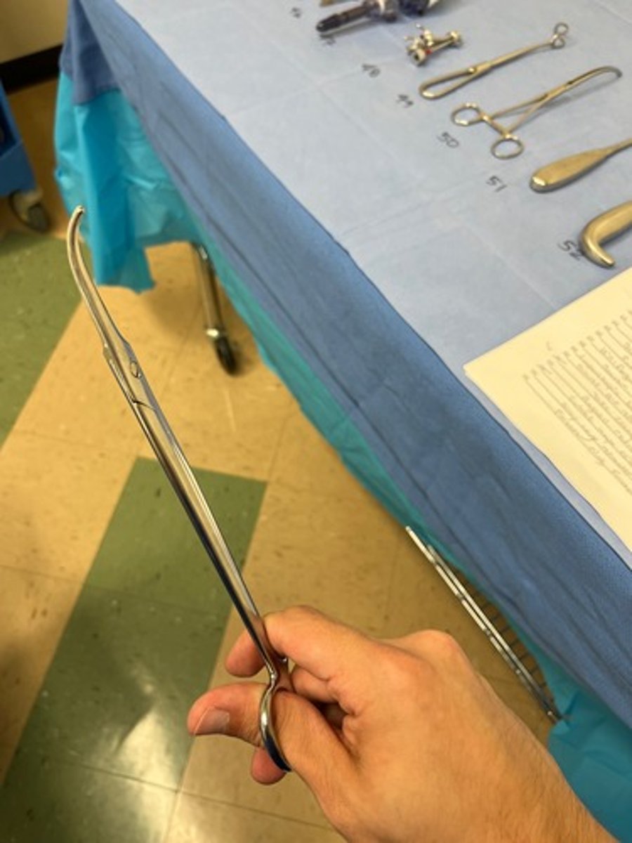 <p>Aka right angle scissors</p>
