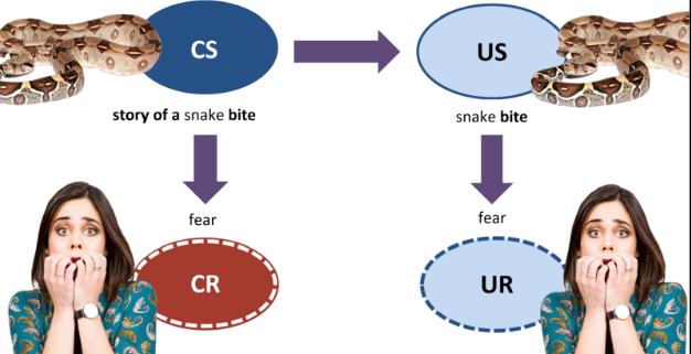<p>Persistent and exaggerated fear of CS</p>