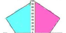 <p>This stage has a negative CBR, and a slightly increasing CDR, meaning that it has already reached ZPG and has a negative NIR.</p>