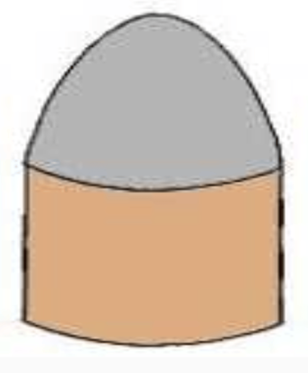 <p>Exposed top, can mushroom</p>