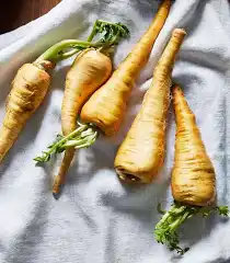 <p>củ cải vàng </p>