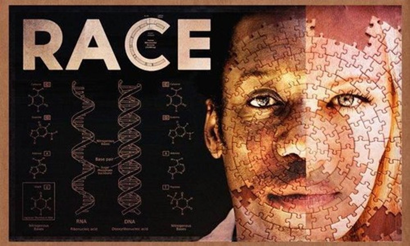 <p>Race is a socially constructed category based on physical characteristics, while ethnicity refers to shared cultural heritage.</p>