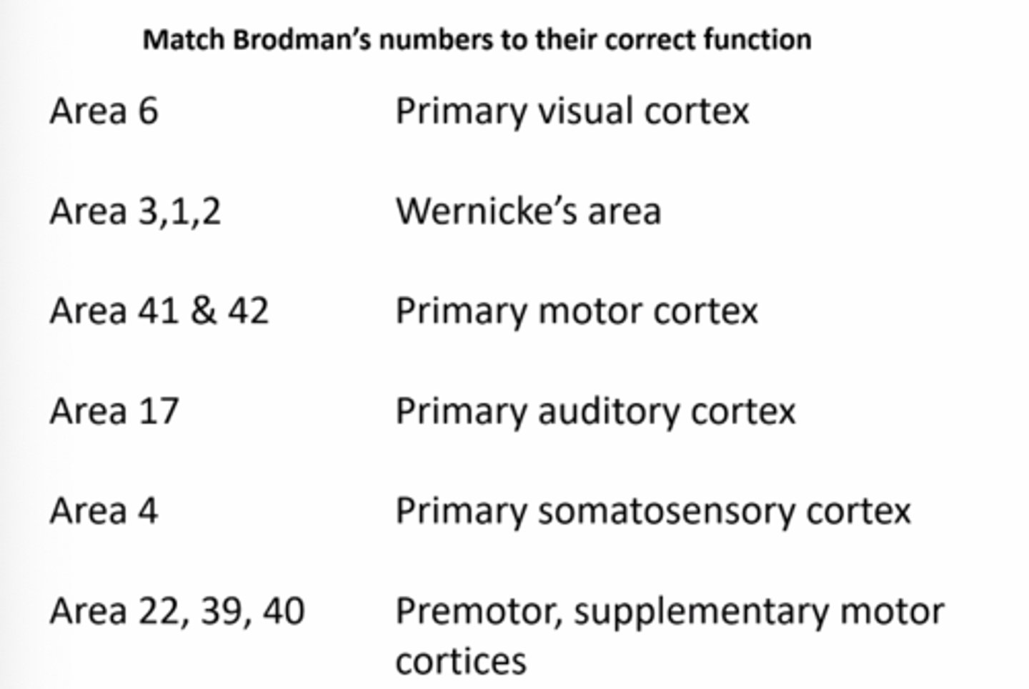 <p>Match Brodman's numbers to their correct function: Area 3,1,2</p>