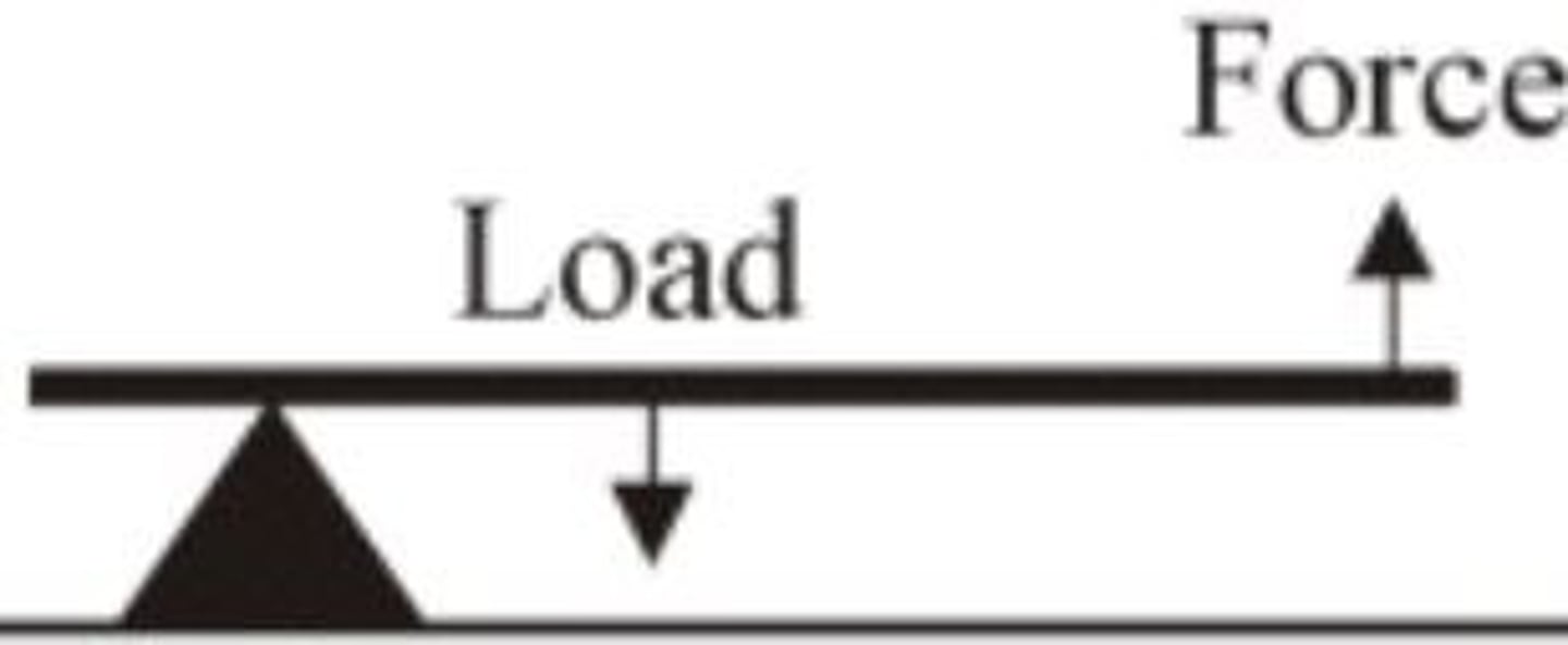 <p>axis of rotation is located at END of ONE BONE</p><p>- internal force is at greater leverage than external force (internal force &gt; external force)</p><p>- muscles attaches FURTHER from axis of rotation than the external force</p><p>ex: wheelbarrow</p>