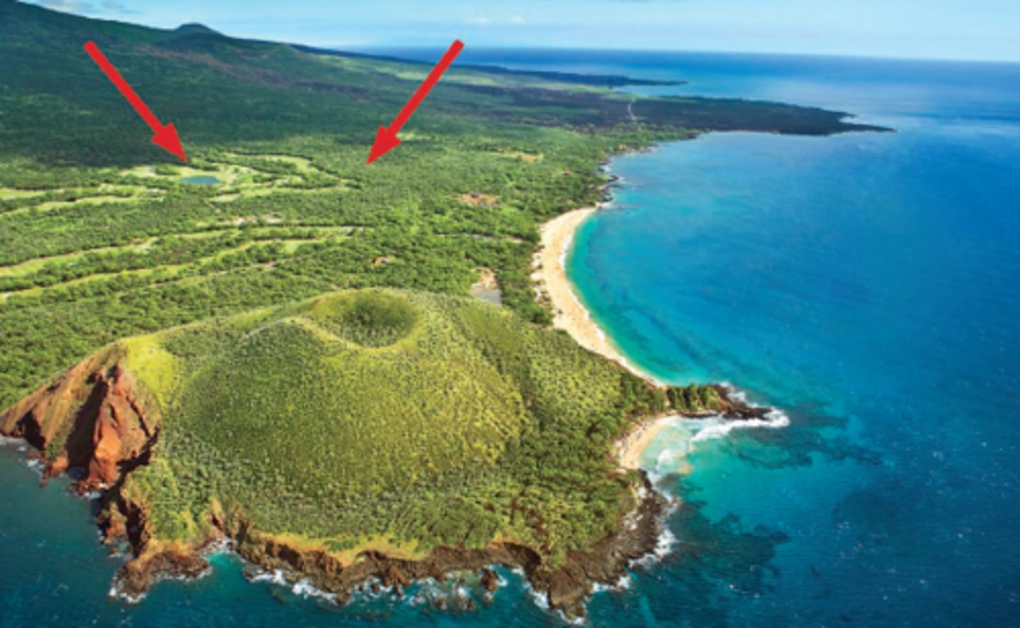 <p>vùng nội địa</p>