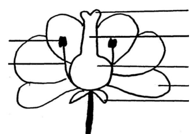 Identify the parts + functions