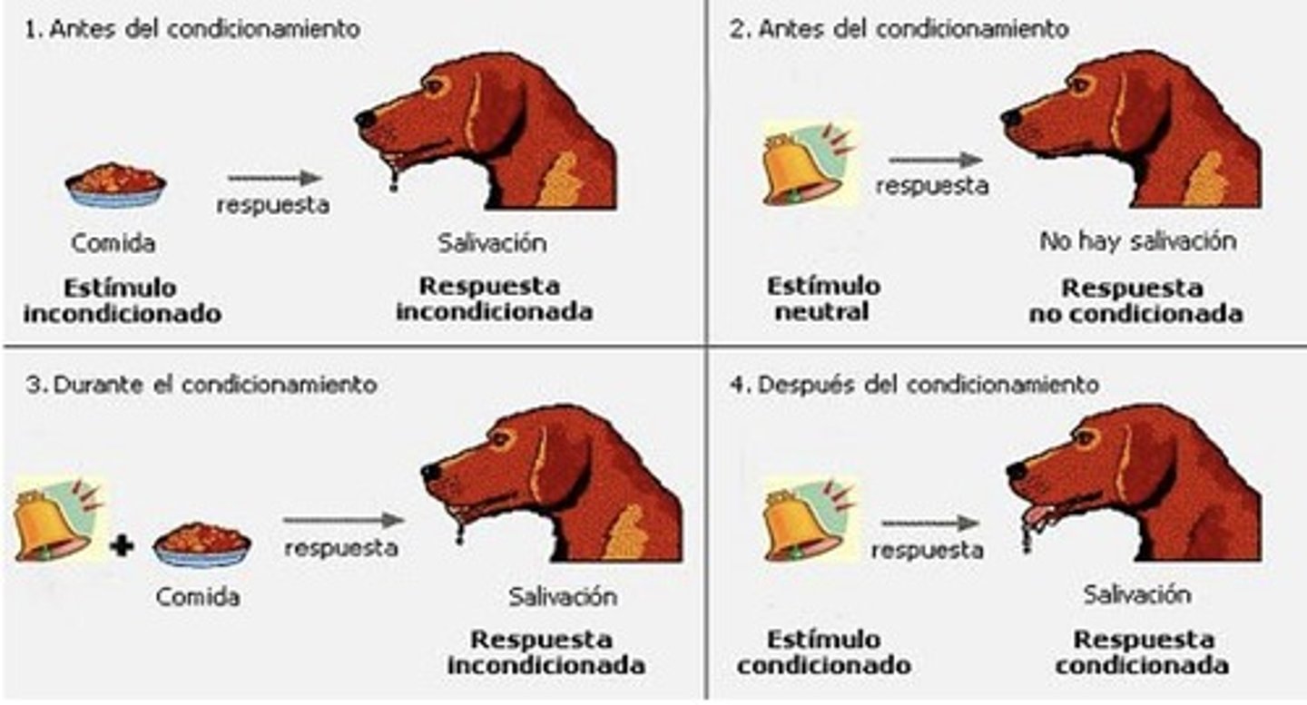 <p>Proceso por el que a través de un estimulo neutral llega a provocar una respuesta después de haber sido asociado repetidamente con un estimulo que provoca naturalmente esa respuesta.</p>