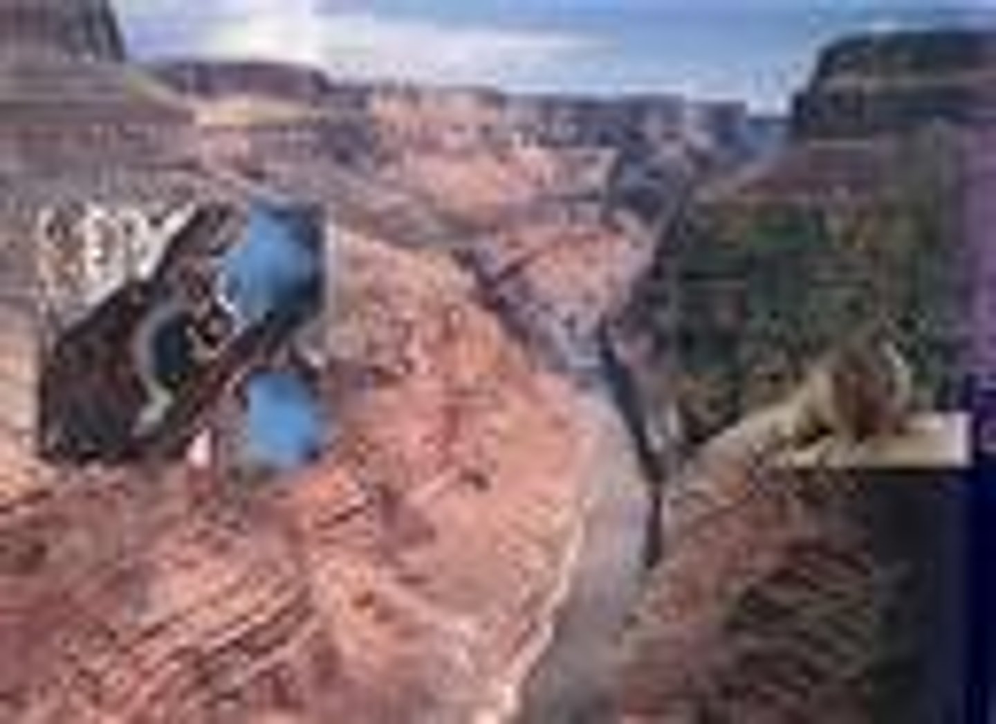 <p>A physical barrier such as a mountain range or a desert that prevents gene flow between populations.</p>
